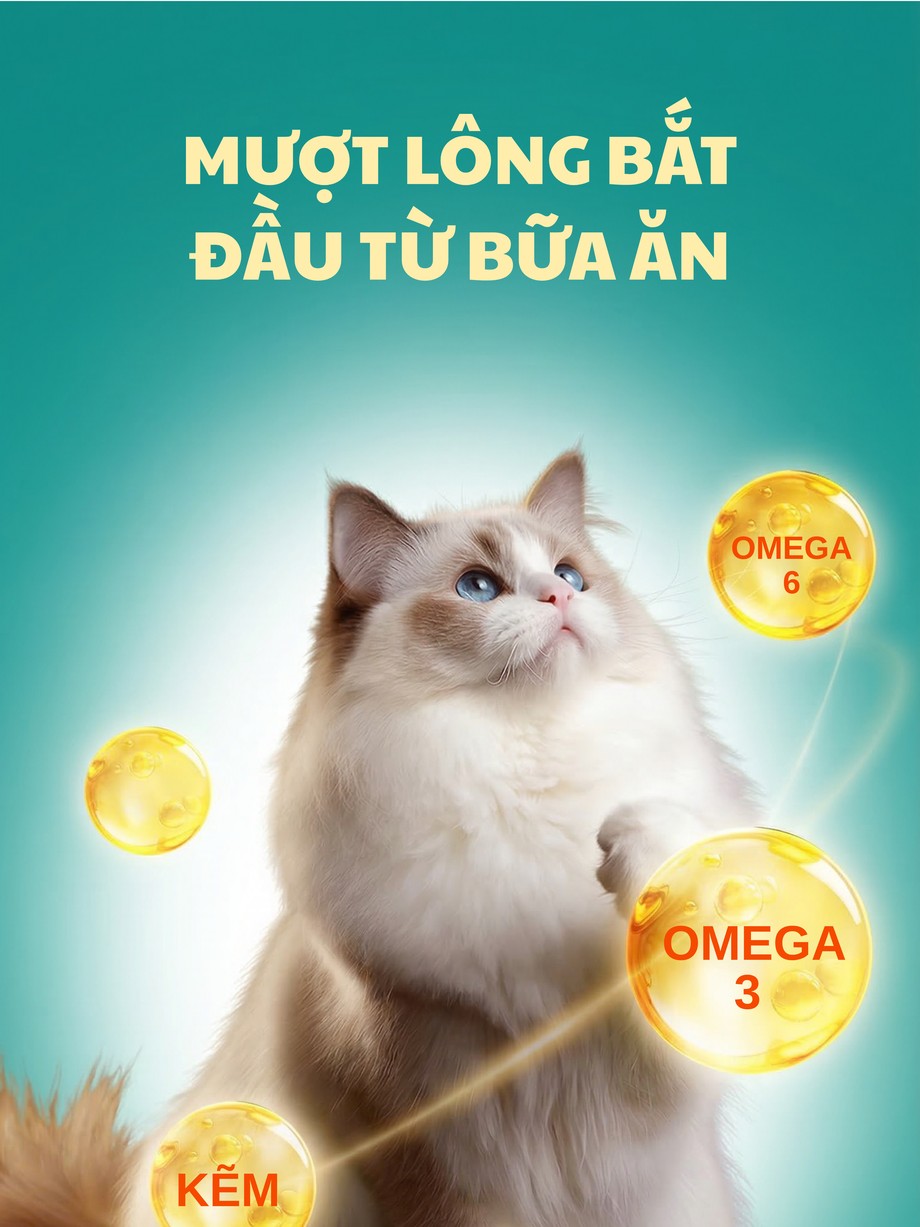 Omega 3 6 lông mượt